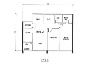 ires-type-c